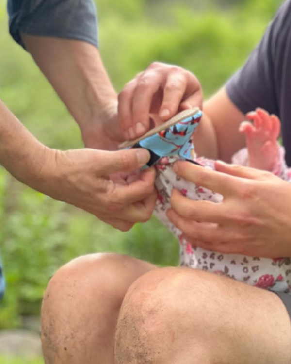 celestun-galeria-3 Celestún