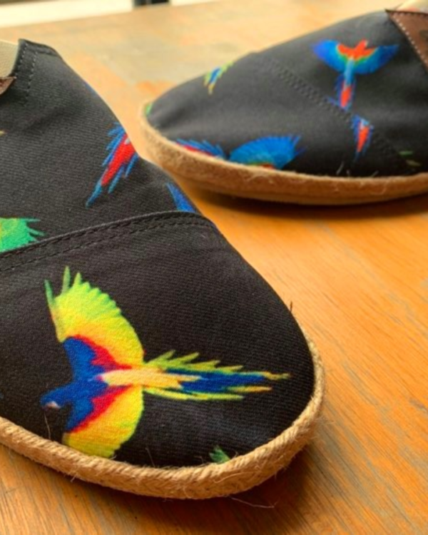 guacamaya-galeria-3 Guacamaya