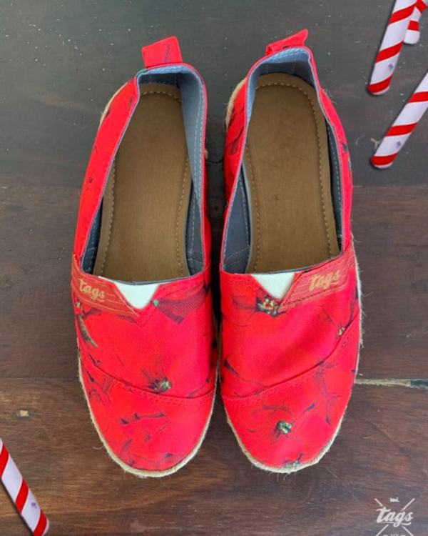 nochebuenas-galeria-3 Nochebuenas