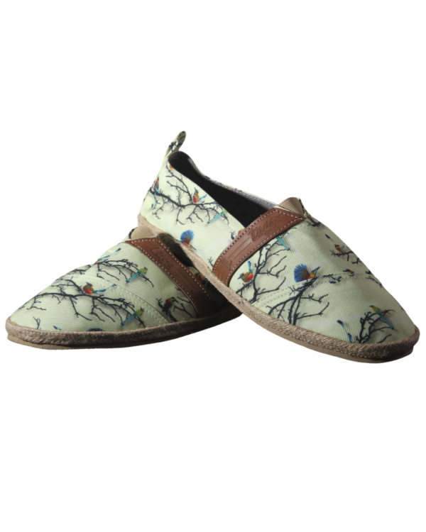 pajaro-toh-principal Pájaro toh