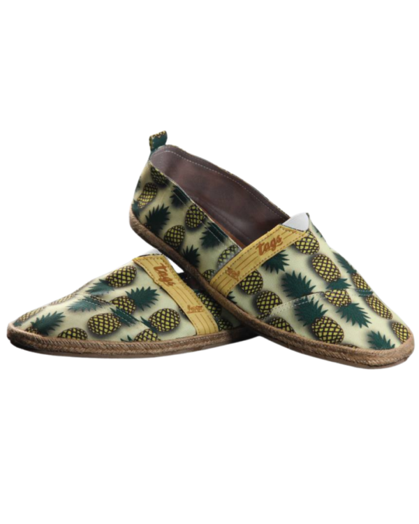 pinas-principal Piñas