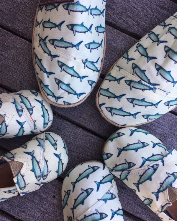 tiburones-galeria-2 Tiburones