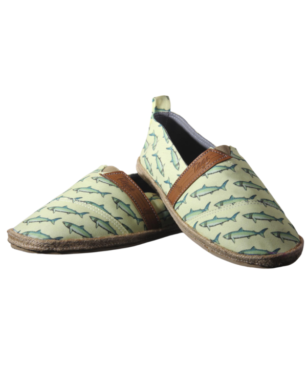 tiburones-principal Tiburones